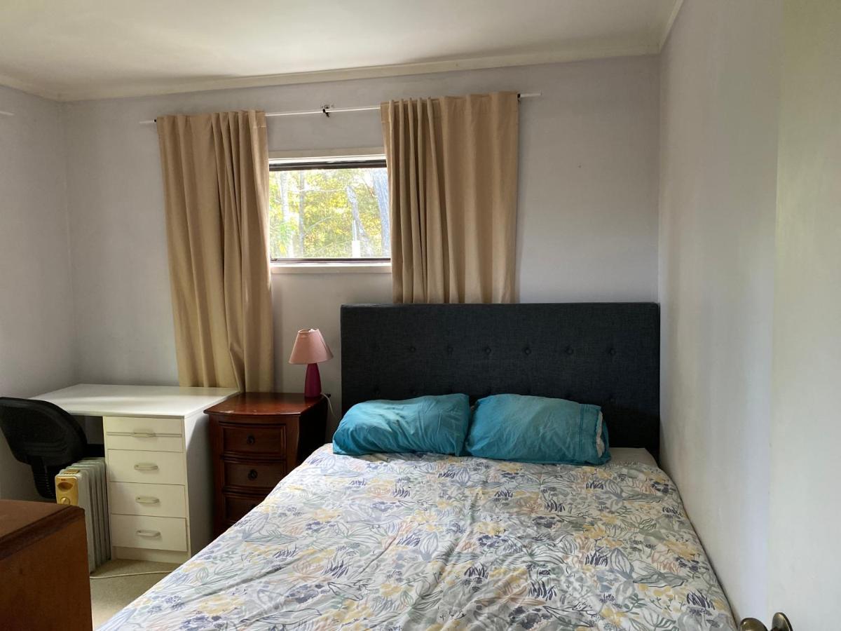 Bush , Birds And Relaxing Moments Appartement Auckland Buitenkant foto
